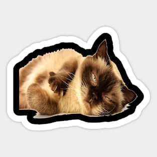 Sleepy cat Sticker